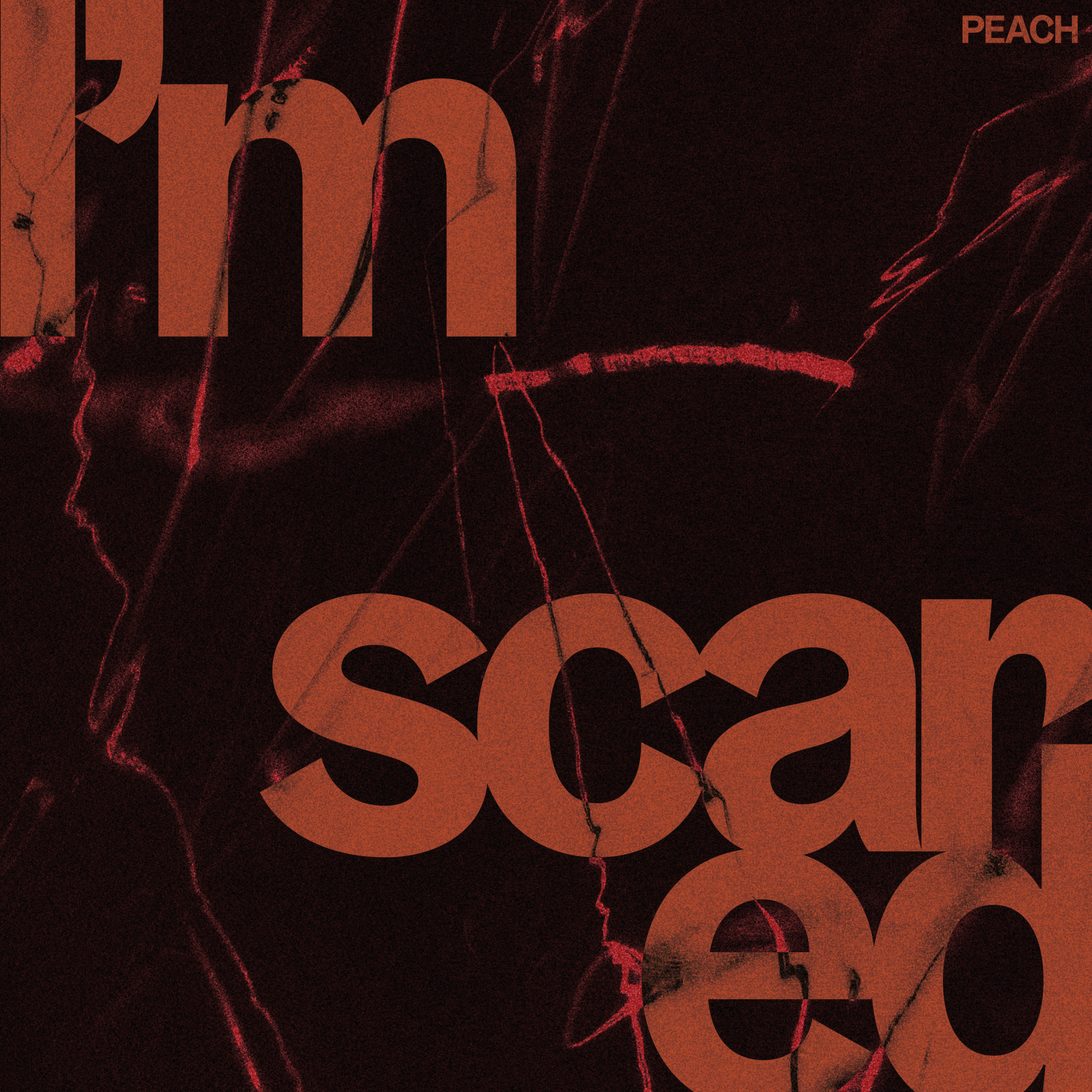 Cover design for the band PEACH